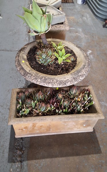 Lot 610 - GARDEN POTS