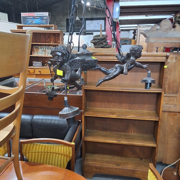 Lot 555 - HANGING LIGHT