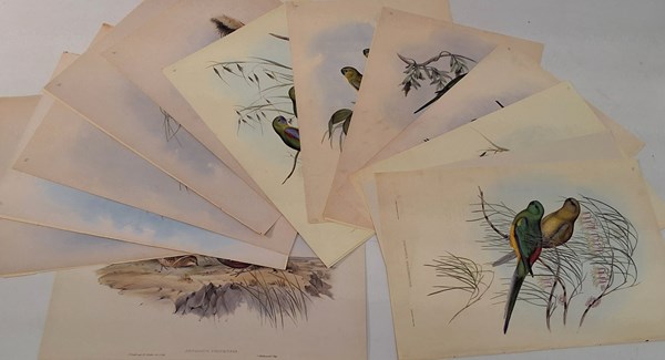 Lot 1171 - JOHN GOULD