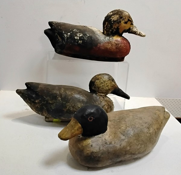 Lot 1164 - DECOY DUCKS