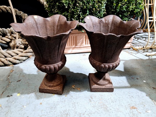 Lot 316 - URNS