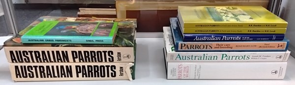 Lot 1437 - PARROTS
