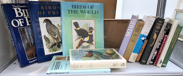 Lot 1431 - BOOKS ABOUT BIRDS