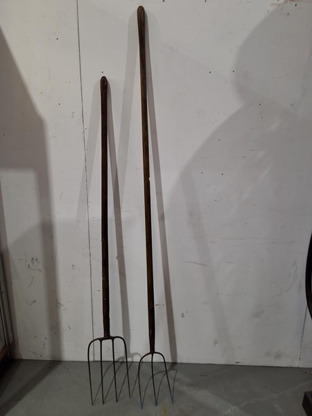 Lot 259 - PITCHFORKS