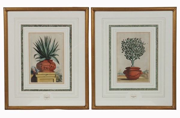Lot 61 - ABRAHAM MUNTING (Netherlands, 1626-1683)