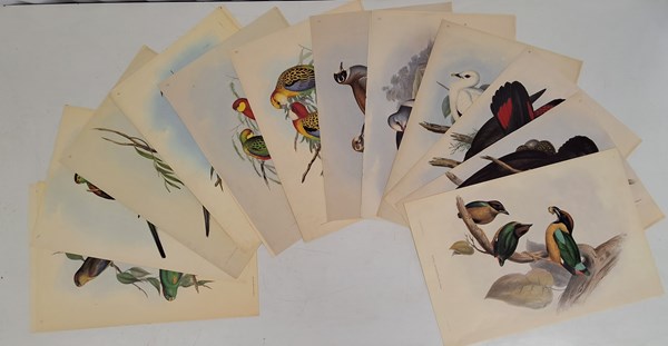 Lot 1235 - JOHN GOULD