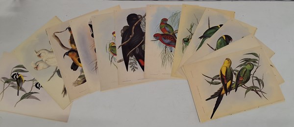 Lot 1347 - JOHN GOULD
