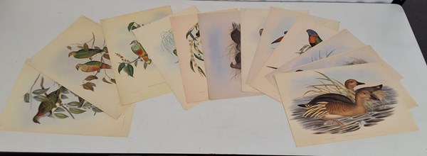 Lot 1149 - JOHN GOULD