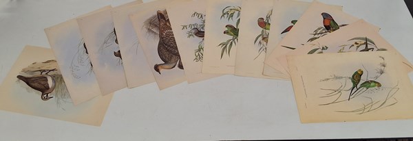 Lot 1147 - JOHN GOULD