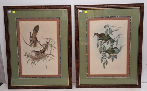 Lot 1113 - JOHN GOULD