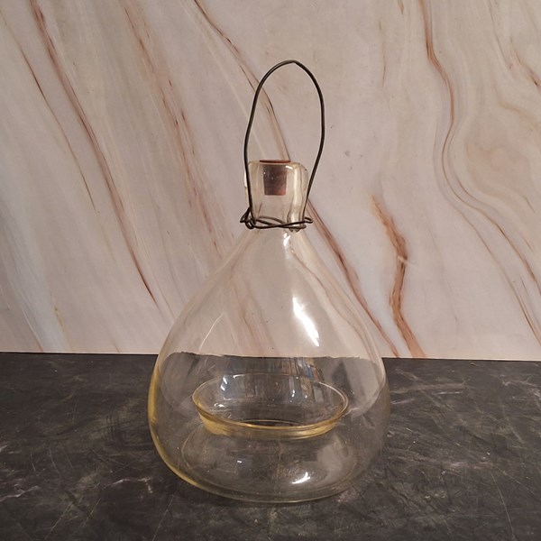 Lot 1300 - FLY TRAP
