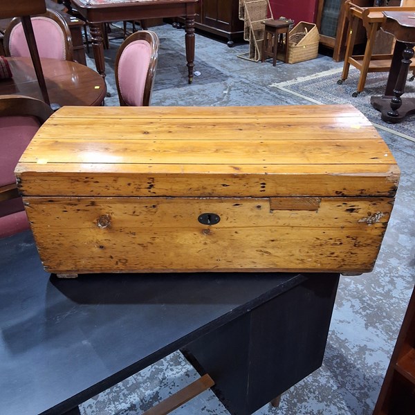 Lot 85 - PINE TRUNK