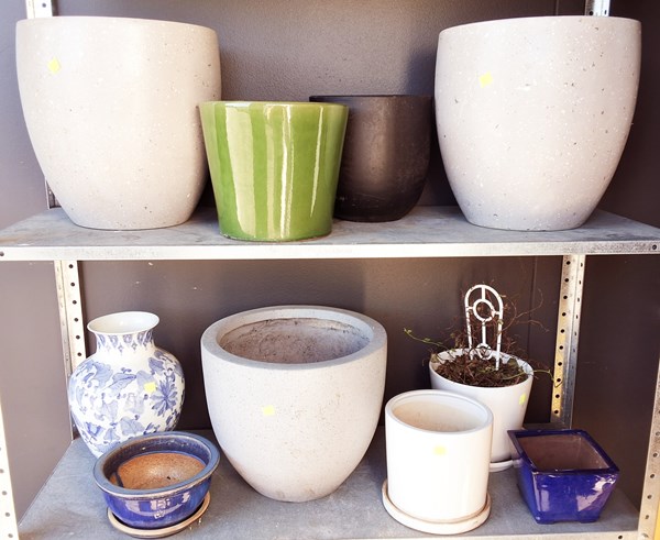 Lot 485 - PLANT POTS
