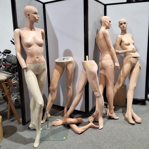 Lot 349 - MANNEQUINS