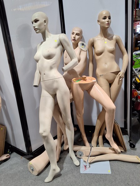 Lot 348 - MANNEQUINS