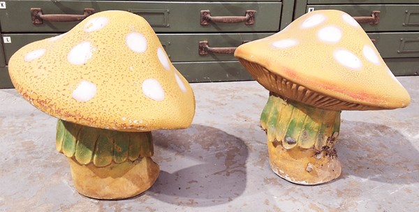 Lot 394 - SPECIAL MUSHROOMS