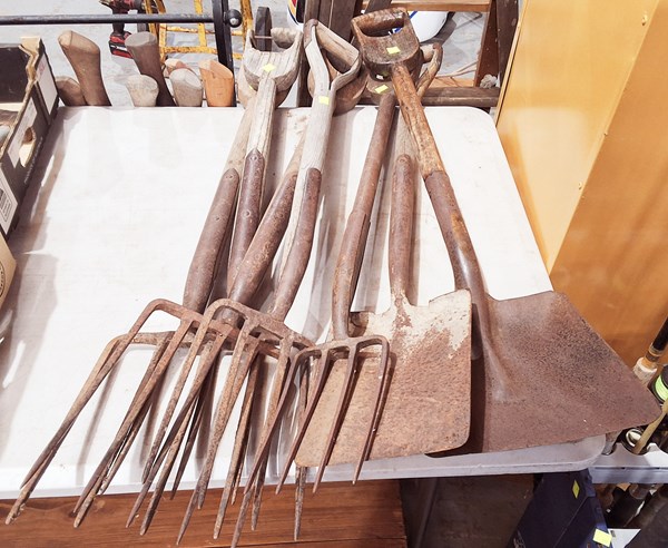 Lot 245 - GARDEN TOOLS