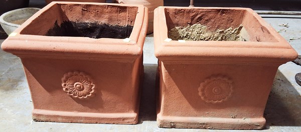 Lot 401 - TERRACOTTA PLANTERS
