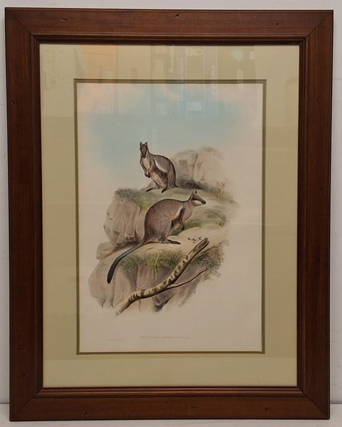 Lot 1092 - JOHN GOULD (BRITAIN, 1804-1881)