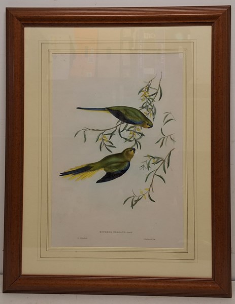 Lot 1090 - JOHN GOULD