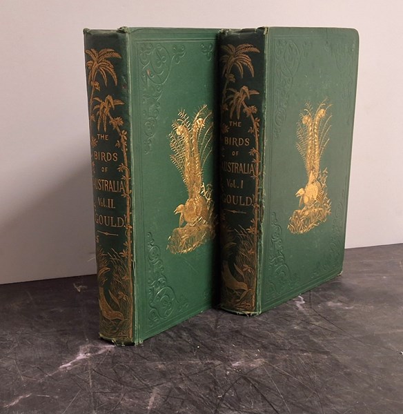 Lot 1199 - JOHN GOULD (BRITAIN, 1804-1881)