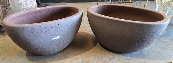 Lot 447 - PLANTERS