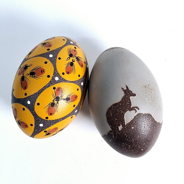 Lot 1221 - EMU EGGS