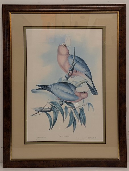 Lot 1110 - JOHN GOULD