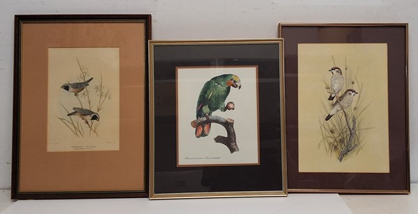 Lot 1072 - BIRD PRINTS