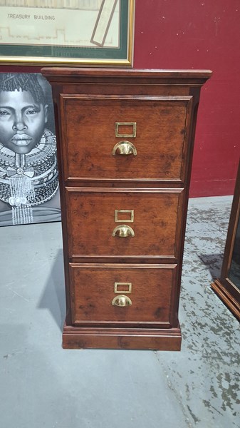 Lot 245 - FILING CABINET