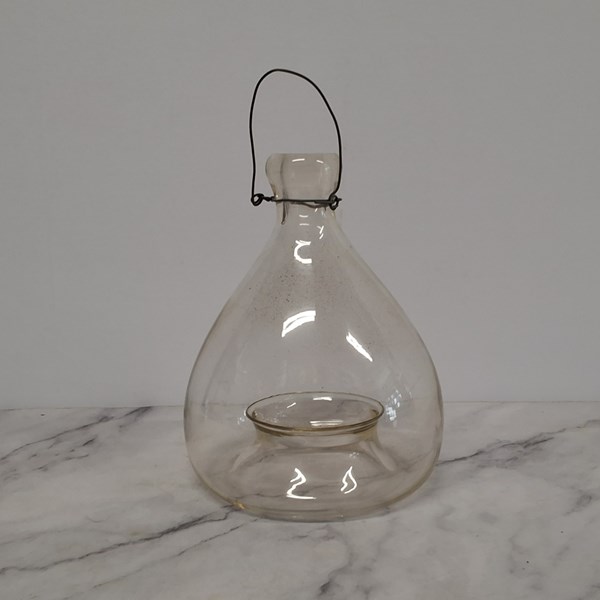 Lot 1295 - FLY TRAP
