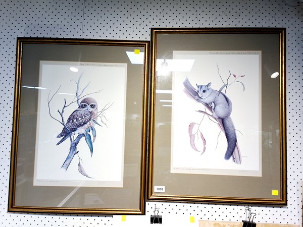 Lot 1092 - AUSTRALIAN WILDLIFE PRINTS