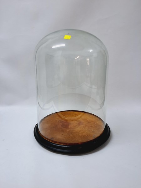 Lot 1128 - GLASS DOME