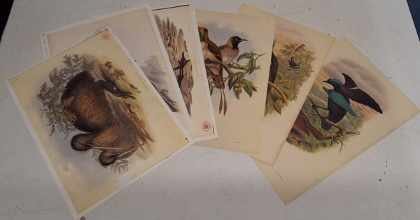 Lot 1185 - JOHN GOULD