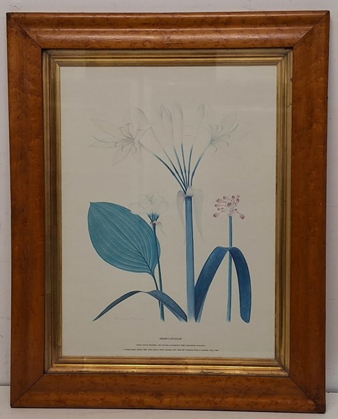 Lot 1106 - RONALD ADAMS
