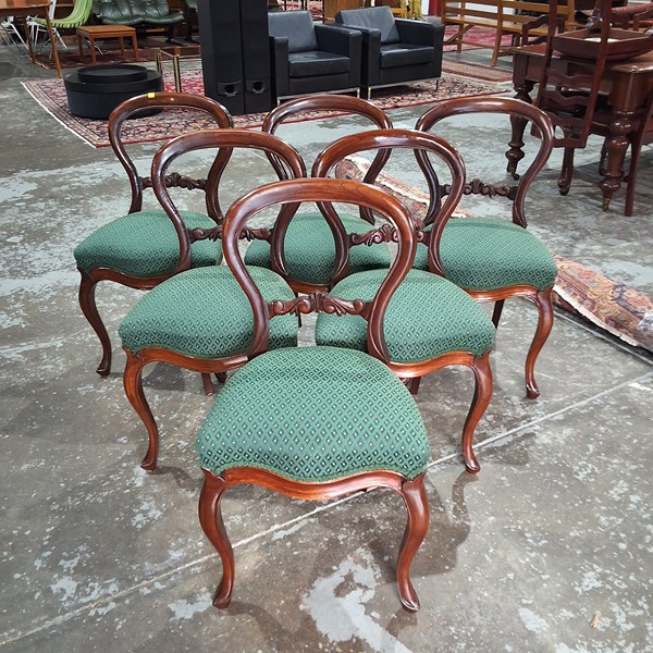Lot 39 - DINING CHAIRS