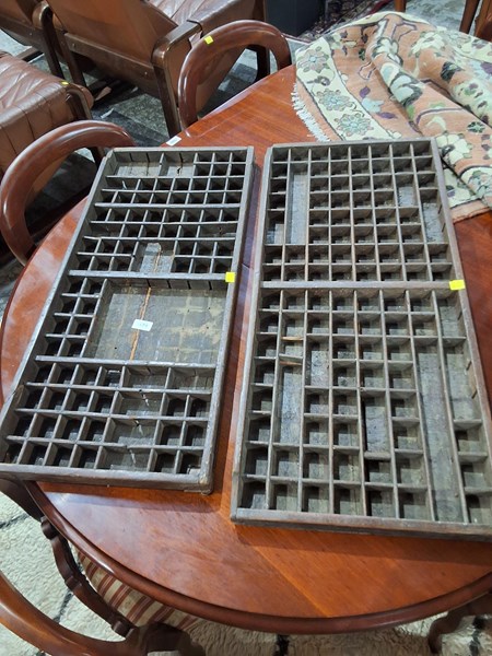 Lot 171 - PRINTER TRAYS
