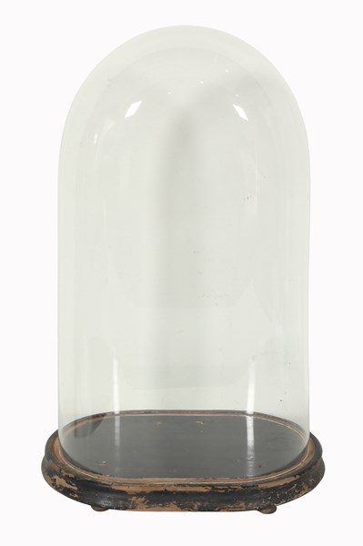 Lot 95 - GLASS DISPLAY DOME