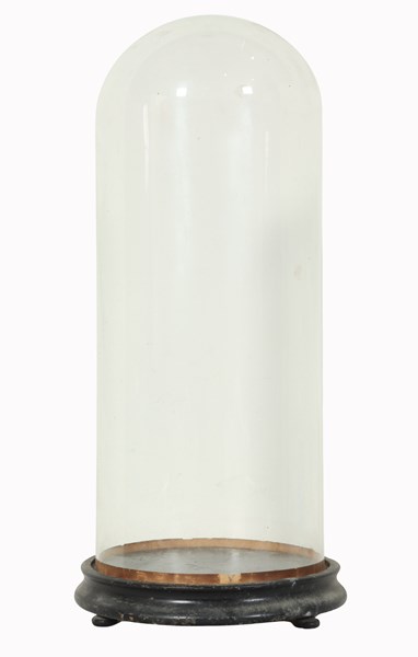 Lot 112 - GLASS DISPLAY DOME