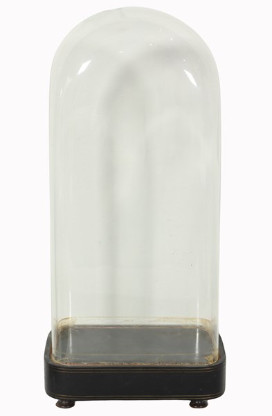 Lot 109 - GLASS DISPLAY DOME