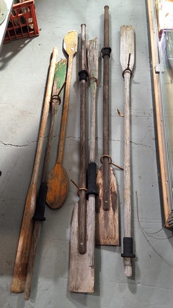 Lot 346 - OARS