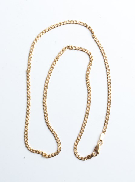Lot 1009 - GOLD CHAIN