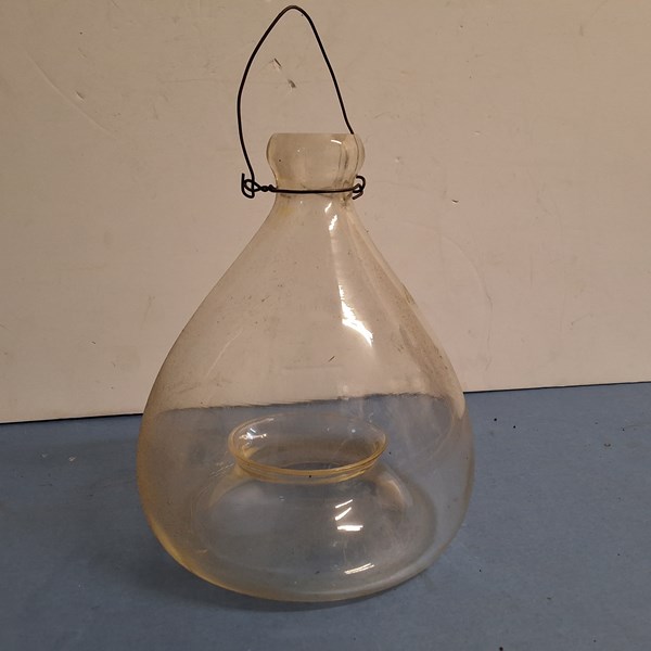 Lot 1272 - FLY TRAP