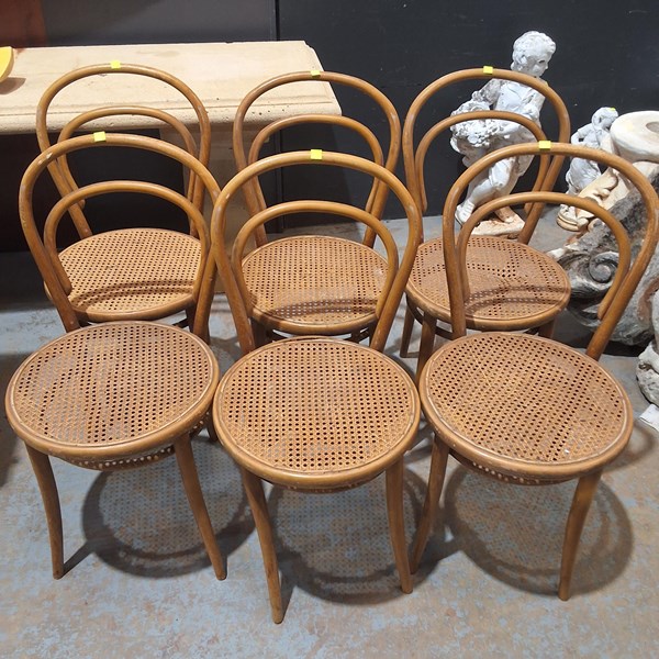 Lot 242 - CHAIRS