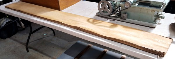 Lot 284 - VENEER