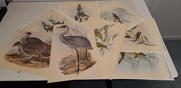 Lot 1236 - JOHN GOULD