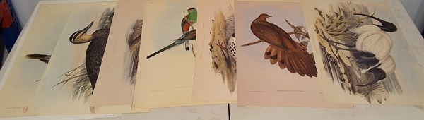 Lot 1136 - JOHN GOULD