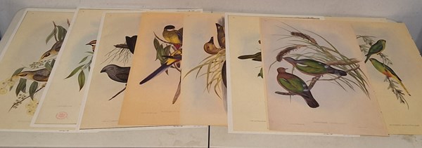 Lot 1163 - JOHN GOULD