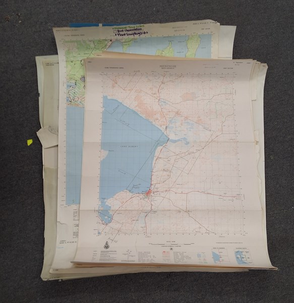 Lot 1313 - MAPS OF SA