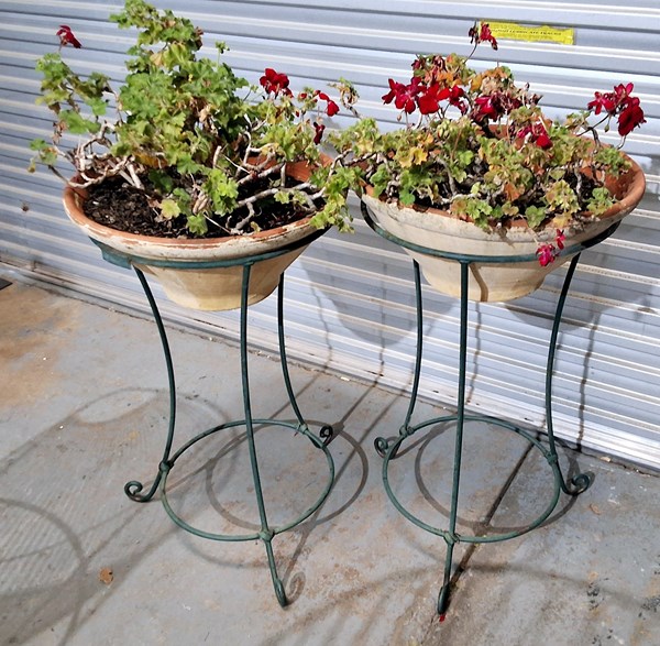 Lot 407 - PLANTERS